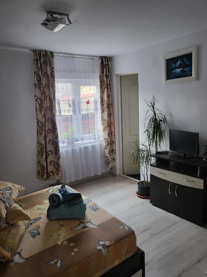 Pensiunea Lacramioara Vatra Dornei Bagian luar foto