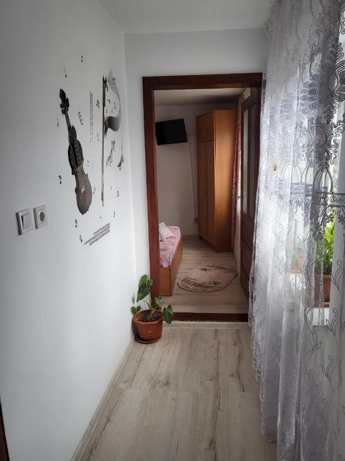 Pensiunea Lacramioara Vatra Dornei Bagian luar foto